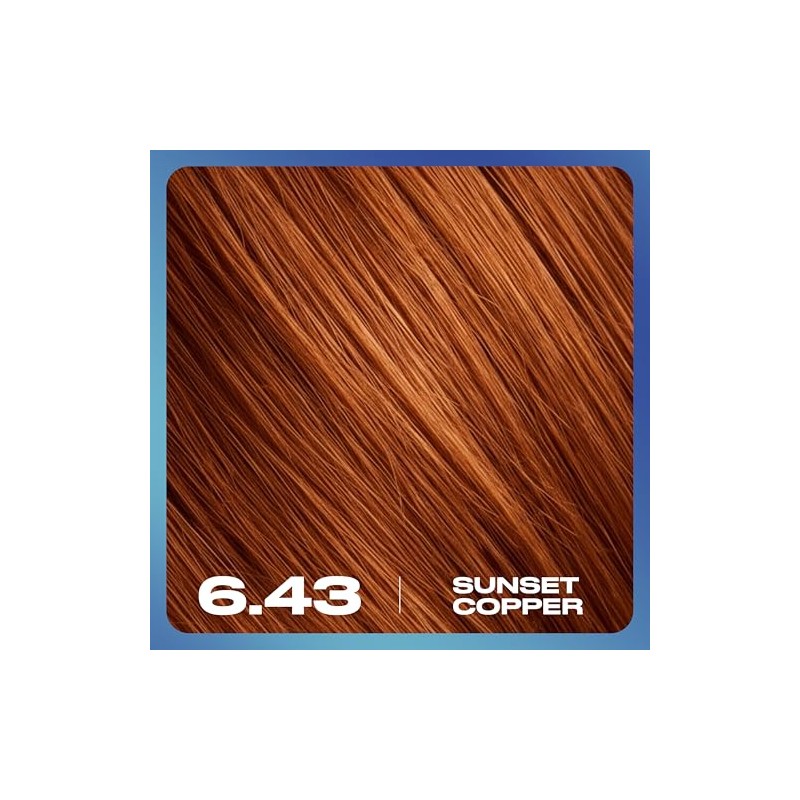 Clairol Nice N Easy Permanent Bold Zero Ammonia Hair Dye