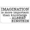 Imagination Knowledge Albert Einstein - 100 Stickers Pack 2.25 x