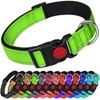 LARRYROO Reflective Dog Nylon Collar | Slide Lock Safety Buckle