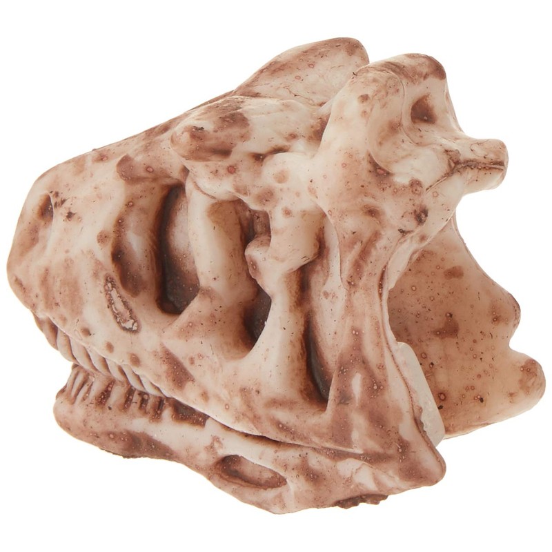 Rhode Island Novelty 2" Dinosaur Fossil Pencil Top