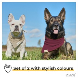 PiuPet® Dog Bandanas I Set of 2 I Dog Bandanas for Small Dogs I Dog Bandana I Dog Clothing & Accessories I Bandanas for Dogs | Dog Birthday and Dog Christmas Presents | Beige/Red (L) 76x53x53cm