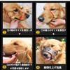 SHULLIN Small / Medium / Large Dog Muzzle Soft Adjustable