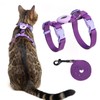 VKPETFR Cat Harness and Leash Set with Airtag Holder for