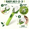 Insect Viewer Box for Kids Nature Observation – 2X Magnifier