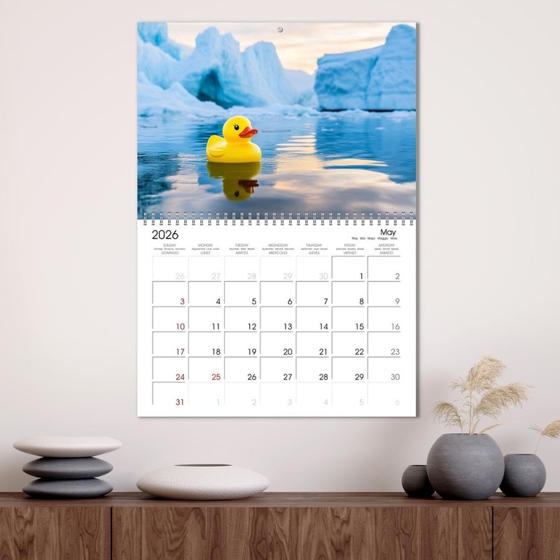 Rubber Ducky, Ahoi (Monthly Wall Calendar 2026 16.5" x 23.4"