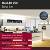 Paulmann 79870 LED Strip MaxLED 250 Warm White 2700 K