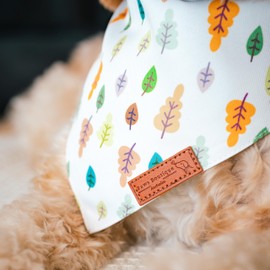 Paws Boutique Premium Dog Bandana/Scarf | Design: Fall Fiesta | Reversible Dual Layered/Sided | Small, Medium & Large Pets | Unique Style | Accessories for Puppies & Dogs (S)