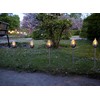Star Olympus LED Solar Torch, Stainless Steel, Set of 3,