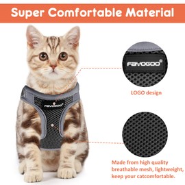 Cat Harness for Walking Escape Proof 2 Pack, Lightweight Kitten Harness, Easy Control Breathable Cat Vest with Reflective Strip (No Leash)