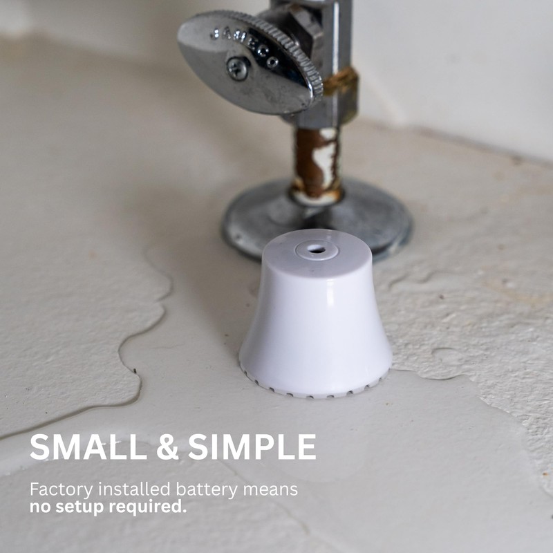 Flood Buzz Small Model | 6-Pack | Reusable, Easy-to-Use Water