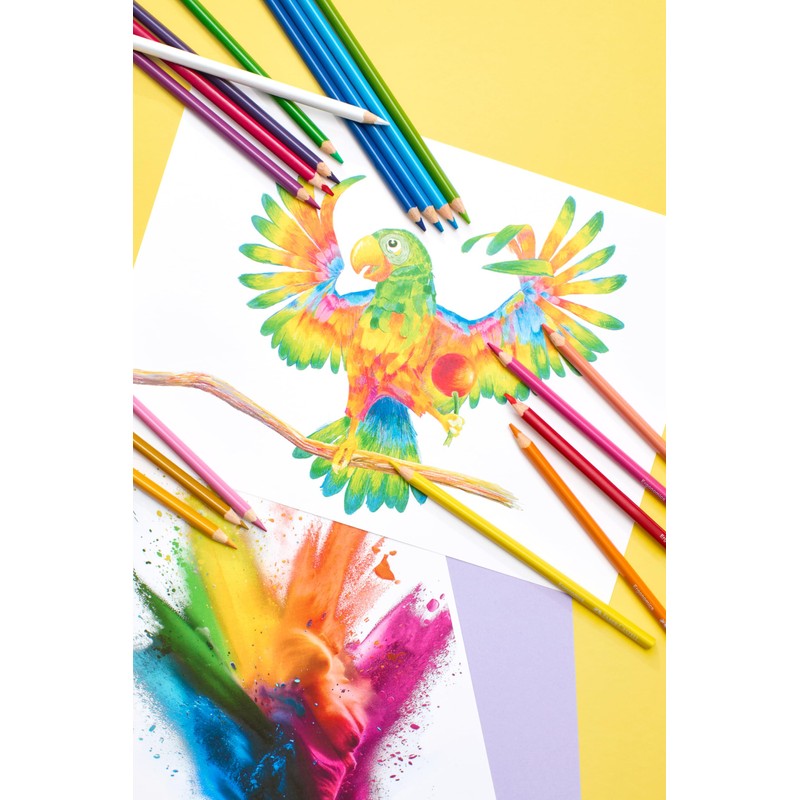 Faber-Castell 116514 - Set di matite colorate Ergonomics da 18