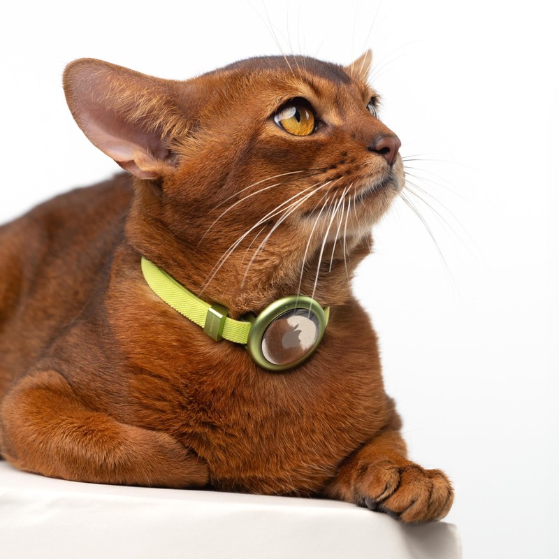 BuddyArmor Safety Cat Collar Pro Airtag Holder Set, US IDA