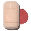 Banilaco Romantic Blush Lip & Cheek 3.7g, 19 blended, 1 pc / 바닐라코 로맨틱 블러쉬 립 앤 치크 3.7g, 19 블렌디드, 1개