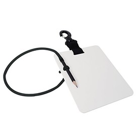 Lomo Diving Slate - Medium