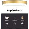 MonDaufie Gold Flush Mount Ceiling Light 2 Pack,9 inch Modern