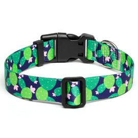 Mercano Adjustable Dog Collar - Special Design Patterns, Soft Nylon Comfortable Durable Pet Collar for Small Medium Large Dogs (M, Cactus)