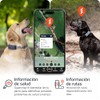 PAJ Localizador GPS Perros 4G - Incl. 3 Meses de