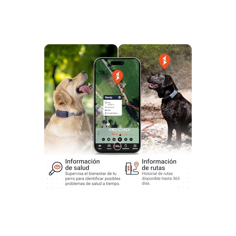 PAJ Localizador GPS Perros 4G - Incl. 3 Meses de