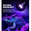 REPTI ZOO 75W Reptile Heat Lamp 2Pack Reptile Night Heat