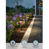 LEONLITE 12-Pack 2CCT Solar Powered Path Lights, 50/100% Dimmable, Auto
