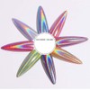 1 Box Solid Chameleon Shining Laser Neon Powder Nail Parts