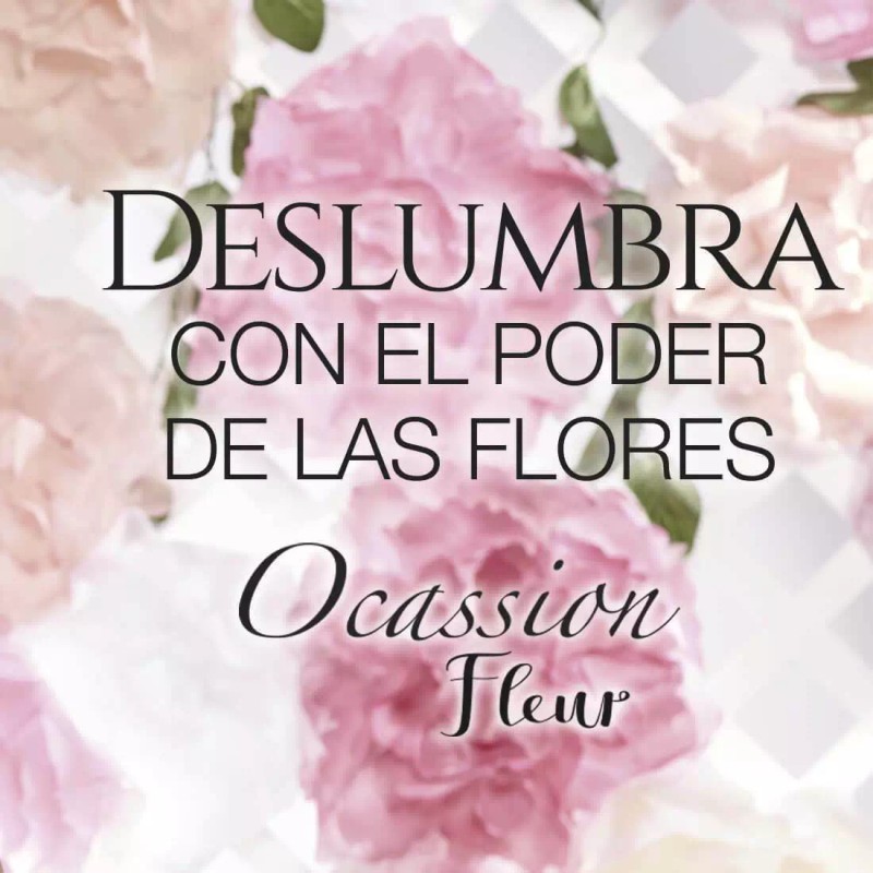Armand Dupree Fuller OCASSION FLEUR COLONIA PARA DAMA DE FULLER-ARMAND