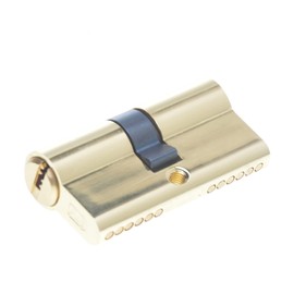 Profile Cylinder 30/50 Brass with 5 Keys