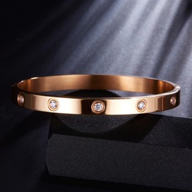 A D. ALLEN & DANMI. AD Jewelry 18 K Gold Plated Love Bangle Bracelet Stone Stainless Steel Bangle for Love(Silvery and Rose Gold)