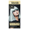 Jerome Russell Bblonde Maximum Colour Toner, Aqua