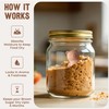 Sifri Art Brown Sugar Keeper 3D – Terracotta Clay Bear