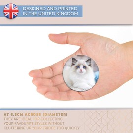 Destination Vinyl ltd Magnet for Refrigerator, Fridge - Cute White Fluffy Kitten Cat for Office, Cabinet and Whiteboard, Magnetic Stickers, 3402