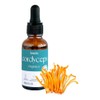Landa Extracto Liquido Hongo Cordyceps Líquido Militaris 100 Orgánico Alta