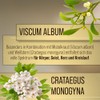 Sanct Bernhard Garlic Mistletoe Hawthorn Capsules | With Garlic, Mistletoe,