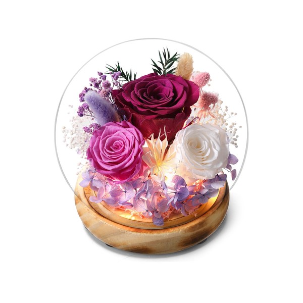 YAOSTDDZ Preserved Real Rose Glass Dome with LED Lights, Purple