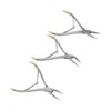 3pcs Residual Root Forceps Set Stainless Steel Dental Root Fragments