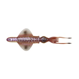 Savage Gear Swim Squid 25 cm 160 g - Rubber Bait, Colour: Cuttlefish