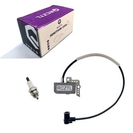 RCZTL ID# C9013 Ignition Coil Module and Spark Plug for Echo Shindaiwa Blowers PB-650,PB-755SH,PB-651,PB-750,EB6300RT,Replaces OPPAMA Ignition Module A415000000 A415000001