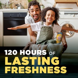 ARM & HAMMER Clean Scentsations In-Wash Scent Booster, Cool Woods scent, 24 Oz