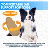 ziyue 4 Set Doberman Ear Posting Kit for Doberman Pincher