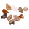 BUGUUYO 10pcs Mineral Rock Specimen Display for Teaching Irregular Stones