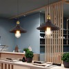 WOERFU 2-Pack E26 to E26 Screw-in Industrial Style Ceiling Lights