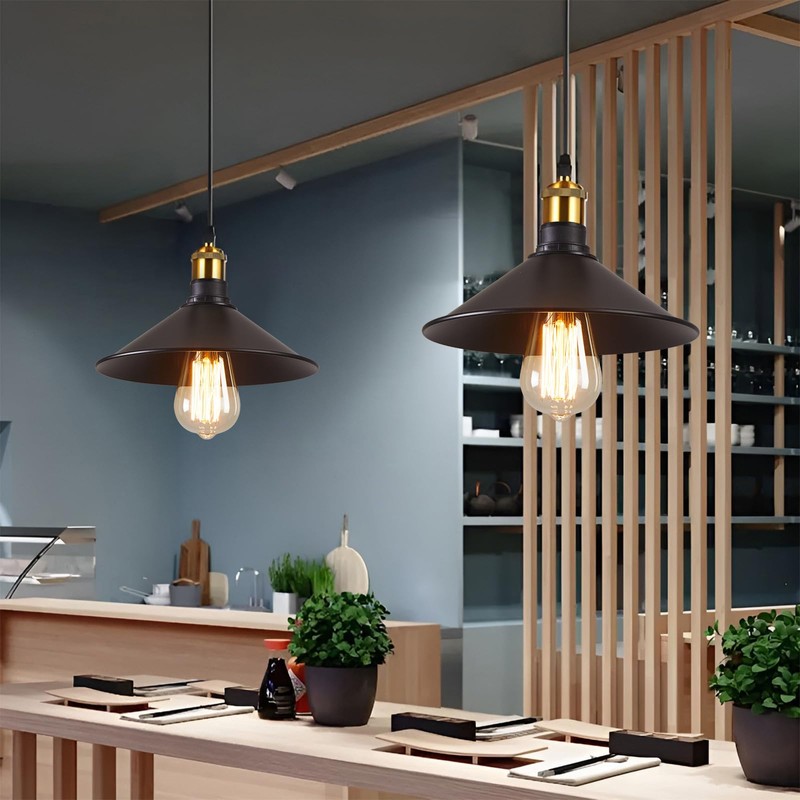 WOERFU 2-Pack E26 to E26 Screw-in Industrial Style Ceiling Lights