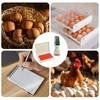 Egg Stamp with Date Display and Price, Ink Pad Included,