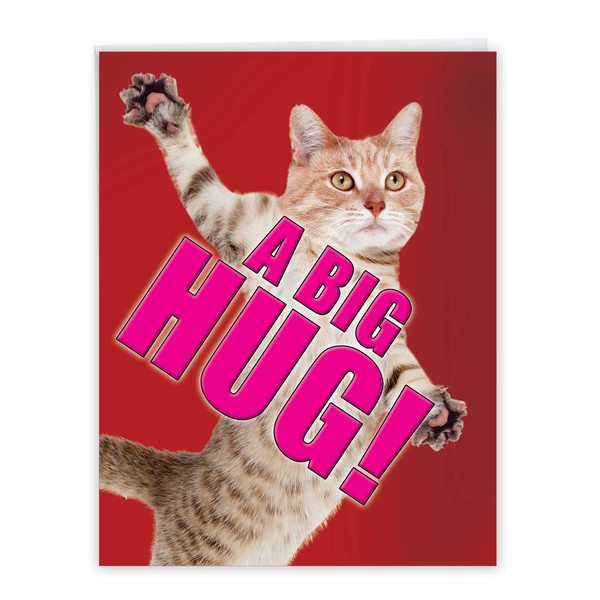 A Big Hug Cat - Friendship Blank Greeting Card with Envelope (Big 8.5 x 11 Inch) - Cute Pet Cat Thinking of You Card - Stationery Condolence J2743FRB