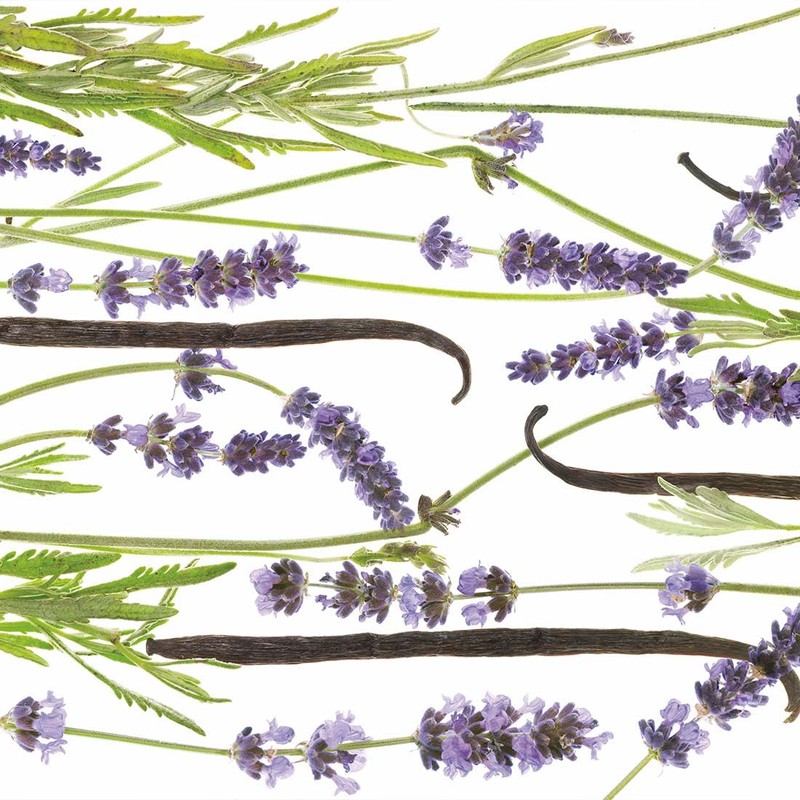 PRIMAVERA Sensitivdeo Lavendel Bambus 50 ml - milder Duft, 24-Stunden-Schutz,
