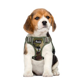 Eyein Dog Harness Small Dog, Anti Pull Adjustable Heavy Duty Pet Vest Harness with 2 Clips, Easy Control Escape Proof Puppy Harness with Soft Padded Handle Reflective for Outdoor Training Walking, S