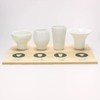 Japan Drinking Comparison Set, Mino Ware, Sake Pot, Tsubomi, Wangri,