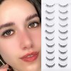 Hybrid Strip Lashes 10 Pairs 5 Style Mixed Natural False