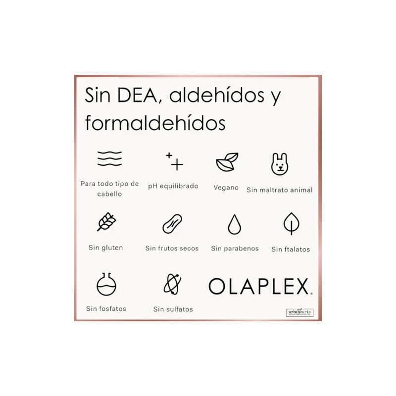 Kit 2pcs Olaplex No. 6 Bond Smoother 100ml