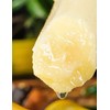 Sugar Cane（360g/12.7oz,1Pack/bag）Packaged Peeled Sugarcane Chunks Convenient and Easy-to-eat Sugar Cane